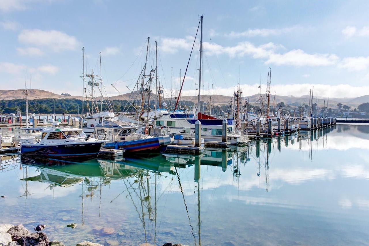 Bayside Cottage 보데가베이 외부 사진